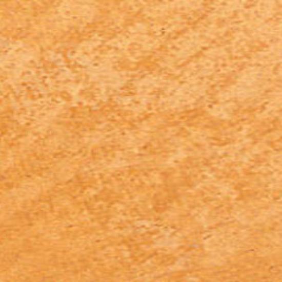 Cl8300