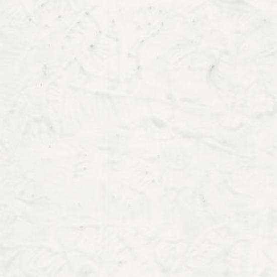 E100